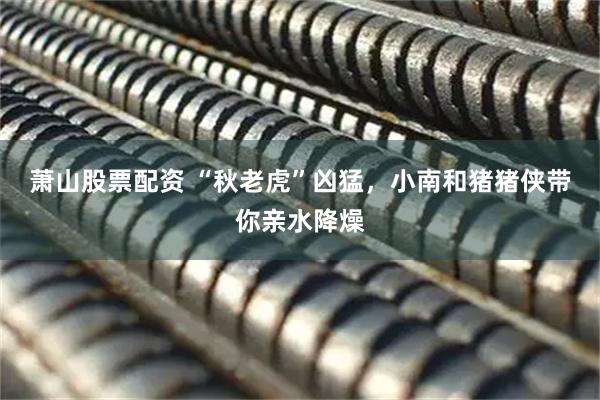 萧山股票配资 “秋老虎”凶猛，小南和猪猪侠带你亲水降燥